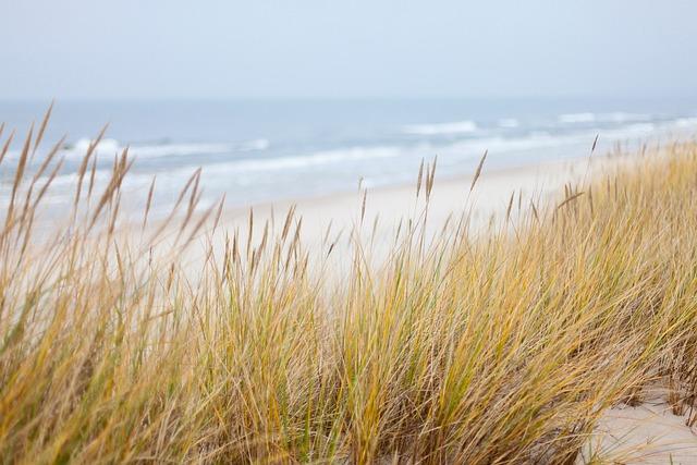 Coastal Blues and Sandy Whites
